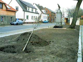 Dorfanger Biehlen 2003