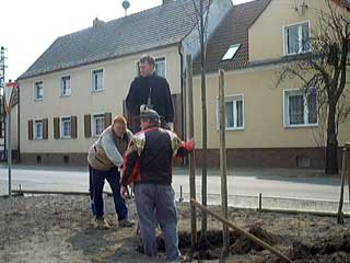 Dorfanger Biehlen 2003