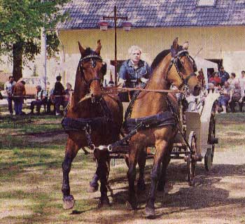 Kutschentreffen in Schwarzbach