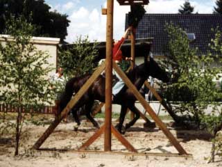 Reiterfest in Schwarzbach 2003